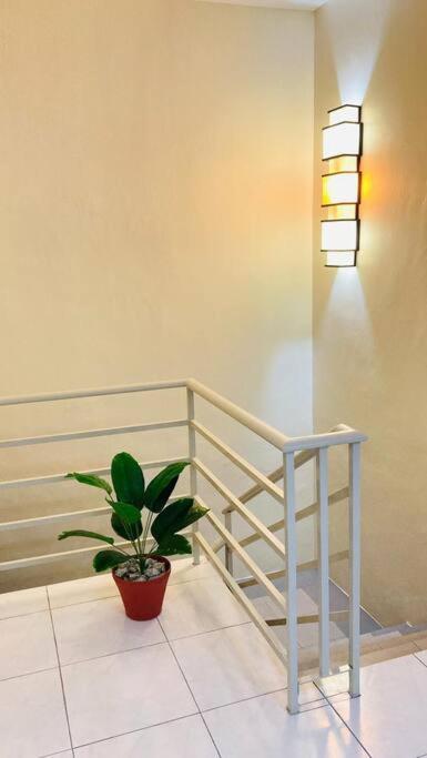 Rumah percutian Botani